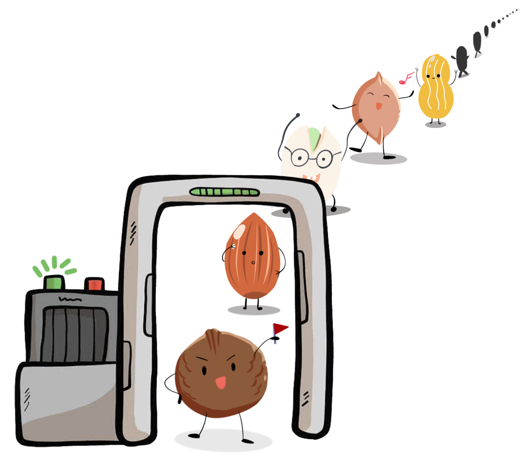 食品進口指南丨堅果如何進口?