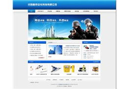 沈陽企業(yè)網(wǎng)站建設典范 探索知名企業(yè)的數(shù)字化品牌之路