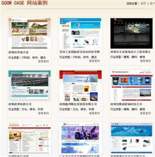 專業(yè)網(wǎng)站建設 設計、制作與選擇公司全指南